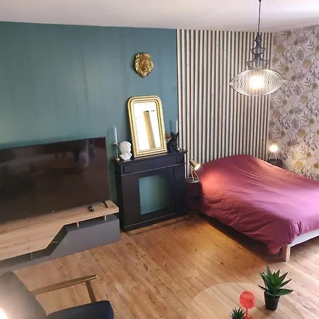 Apartament De Et D'or - Proche Gare - Parking - Jardin Saint-Brieuc