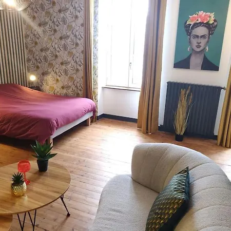 Apartament De Et D'or - Proche Gare - Parking - Jardin