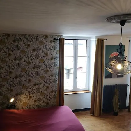 Apartament De Et D'or - Proche Gare - Parking - Jardin